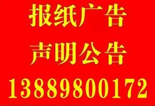 公章、财务章、法人章丢失登报电话、价格图片0