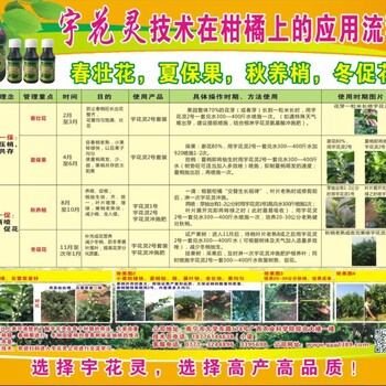 沃柑7元/斤，曾老板為何還不愿意賣