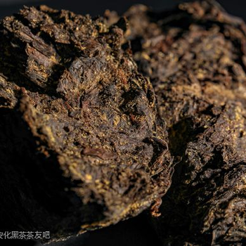 代理湖南黑茶的要求有哪些？代理湖南黑茶的要求解析