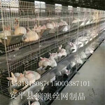 厂家生产3层9位种兔笼12位子母母仔产仔兔子笼4层24位商品兔笼肉兔笼懒兔笼