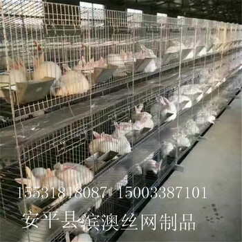 滨澳现货各种规格尺寸的兔笼鸽笼鸡笼养殖笼及养殖笼具用品质优欢迎咨询