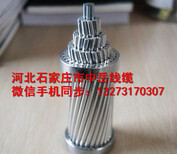 云南厂家昆明钢芯铝绞线LGJ-95/15国标现货图片0