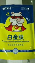 春季治疗仔猪断奶拉稀图片