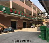郑州提供安全可靠放心的新鲜蔬菜配送服务