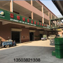 郑州蔬菜配送价格合理配送实力强图片