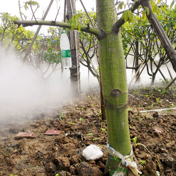 绿之园LZY-01园林景观喷雾设备厂家高压冷雾设备雾森设备