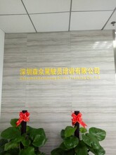 深圳森众驾校推出清远快班