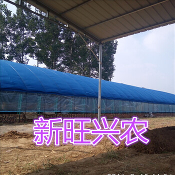 河北新旺兴农种植大棚建设厂家