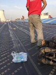 郑州防水公司提供郑州防水施工