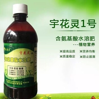 龍眼：十年未來花，今朝花滿樹