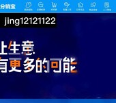 小投资创业欢迎招商加盟软件开发设计logo