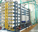 伊春养殖场（牛羊）饮用水水处理设备生产厂家