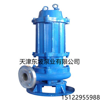 天津东坡100WQ110-10-5.5污水潜水泵
