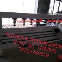 河北沧州丰鸿机械板式家具专用全自动侧孔机