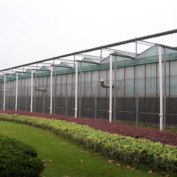 定西连栋纹络型玻璃温室大棚建造厂家承接全国业务