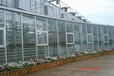 长沙育苗连栋纹络型玻璃温室大棚厂家承接全国业务