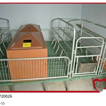 沧州长期供应母猪双体产床2.23.6铸铁梁母猪产仔床