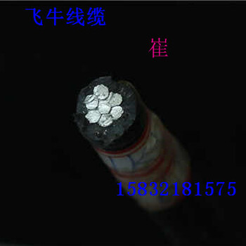 辽宁大石桥市生产厂家电线电缆架空线JKLYJ120保电阻保平方