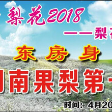南果梨