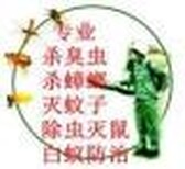 宝安杀虫公司宝安除虫公司宝安灭虫公司图片0