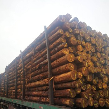 河道木桩原木材打桩木松木桩杉木桩原木桩批发