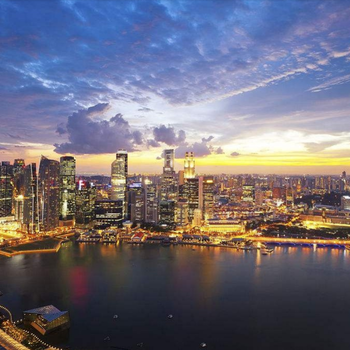 新加坡邦瀚斯拍卖公司怎么样？