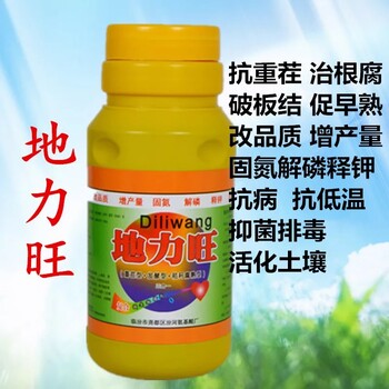 温室大棚歇茬期，你用微生物菌剂调理土壤了么？