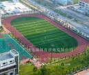 中山三乡学校混合型塑胶跑道材料供应厂家图片