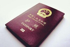 有护照没有港澳通行证可以去澳门吗图片5