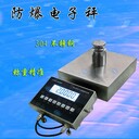 開封防爆電子地磅供應(yīng)