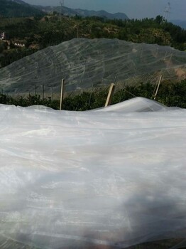 螞蚱拱形棚定制各種尺寸密度好3-5年價(jià)格量好