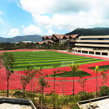 自结纹塑胶卷材跑道，完全符合新国标标准（简称预制型橡胶卷材）