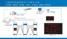 图片0