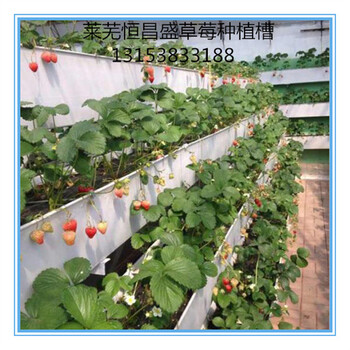 恒昌盛农业科技研发制造种植槽栽培槽草莓槽原包料生产使用寿命长达15年