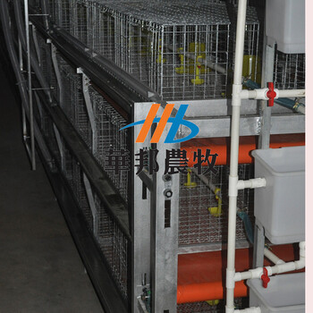 山东华邦农牧厂家鸡笼肉鸡笼自动清粪鸡笼设备供应商
