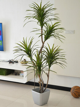 仿真龙血铁植物树大型落地盆栽景样板间装饰假花仿真客厅室内