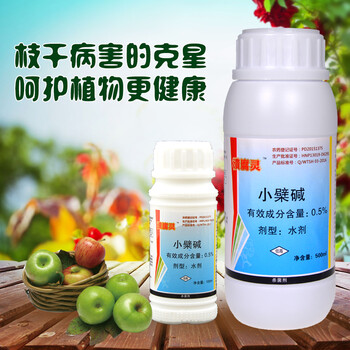 桃樹流膠病防治方案