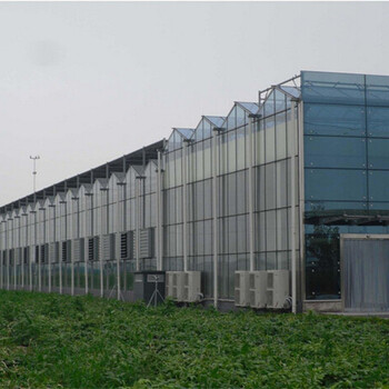 陜西商洛智能有機(jī)蔬菜大棚溫室全自動控溫控濕、2萬平方型造價