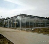 江西景德镇高价值作物种植大棚温室565中空玻璃外墙、开间8米型造价