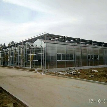 江西景德镇值作物种植大棚温室565中空玻璃外墙、开间8米型造价