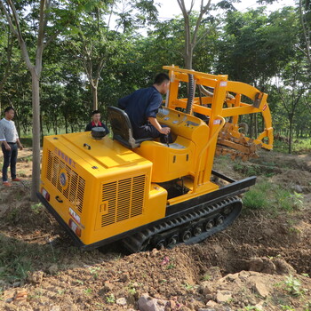 安徽三普带土球挖树机有石头可挖的起树机厂家出售