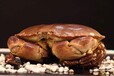 进口挪威面包蟹到上海机场需要多长时间