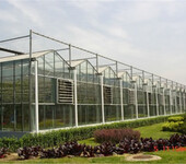 海南万宁农业观光旅游展览温室大棚7米中空玻璃墙体、内部独立基础型承建公司