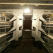 河南厂家设计立式层叠蛋鸡笼高线材耐腐蚀质保十年
