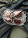 涿鹿废电缆回收、废铜废铝电缆回收