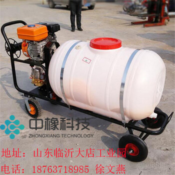 汽油手推式打藥機