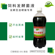 怎样处理豆渣喂猪吸收更好图片