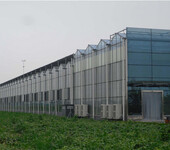 湖北十堰绿色蔬菜种植玻璃大棚温室4.5米外墙、8米一开间型报价
