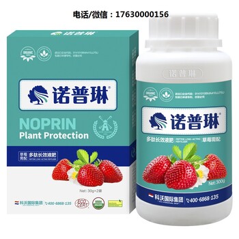 種植草莓如何施肥-諾普琳