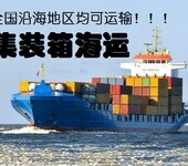 沧州到上海货物运输集装箱海运新闻资讯